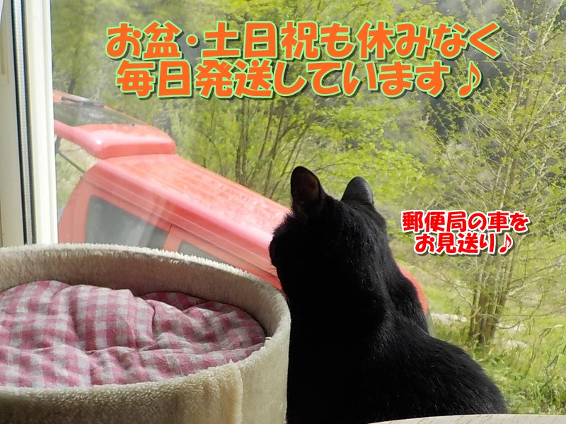 お盆・土日祝も毎日発送しています♪